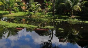 The Hidden Oasis Bungalows