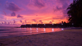 Mafiya's Resort