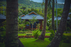Mafiya's Resort