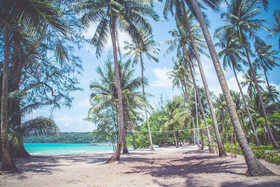 Mafiya's Resort