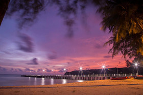 Mafiya's Resort