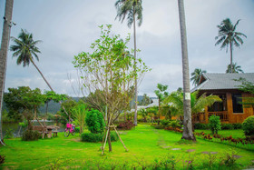 Mafiya's Resort
