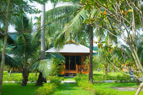 Mafiya's Resort