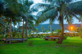 Mafiya's Resort