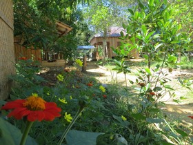 Easy Tiger Bungalows