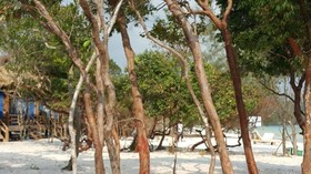 Natural Island