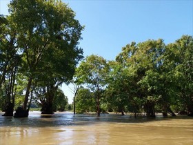 Silver Dolphin Guesthouse