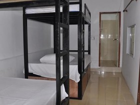 Dolphin Hostel
