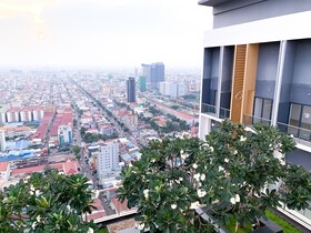 D Suites