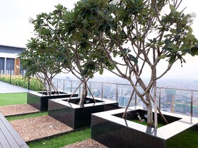 D Suites