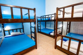 Eighty8 Backpackers Hostel