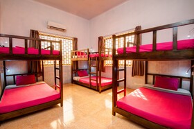 Eighty8 Backpackers Hostel