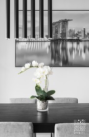 Luxcity Hotel & Apartment