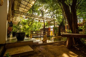 Mad Monkey Hostel Phnom Penh