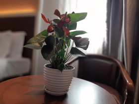 Positano Boutique Hotel