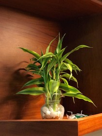 Thada Apartment