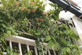 The Flora Boutique Hotel