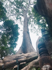 Angkor Diamond Villa