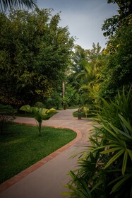 TUI BLUE Angkor Grace Wellness Resort