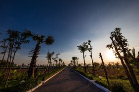 Angkor Rendezvous Villa