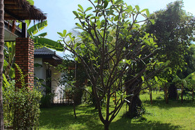 Asarita Angkor Resort & Spa