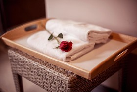 Damrei Angkor Hotel