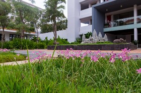 Damrei Angkor Hotel