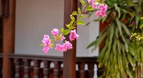 Eureka Villas Siem Reap