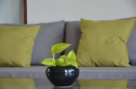 Filia D'Angkor Boutique Villa