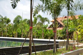 Filia D'Angkor Boutique Villa