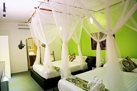 Green Leaf Boutique
