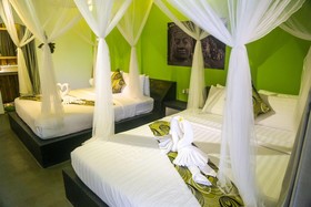 Green Leaf Boutique