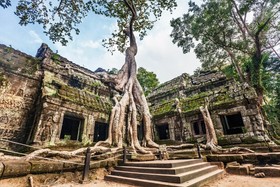 Green Village Palace