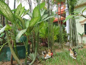 Jasmine Garden Villa