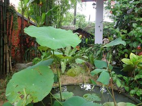 Jasmine Garden Villa