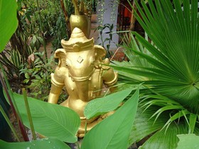 Jasmine Garden Villa