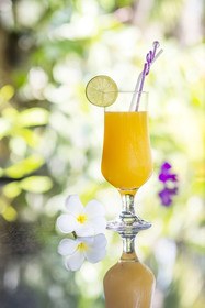 J'S Links Angkor Boutique Hotel
