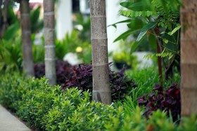 Khmer Mansion Boutique Hotel