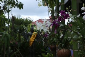 Khmer Mansion Boutique Hotel