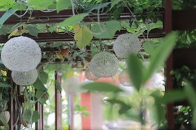 Mudra Angkor Boutique Hotel