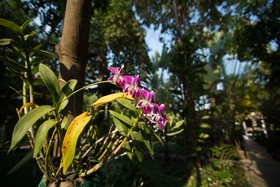 Sonalong Boutique Village & Resort