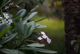 Sonalong Boutique Village & Resort