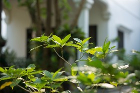 Sonalong Boutique Village & Resort