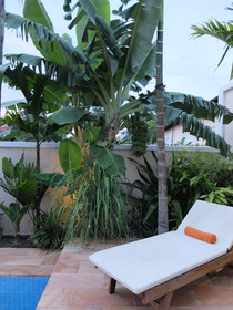 The Rose Apple Boutique Bed & Breakfast