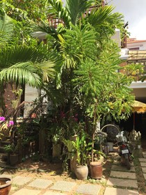 The Seda Villa