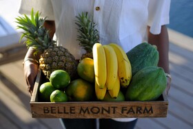 Belle Mont Farm