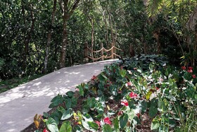 Belle Mont Farm