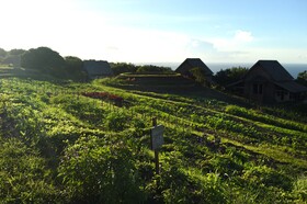 Belle Mont Farm
