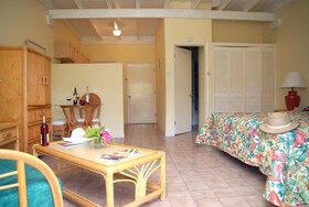 Sugar Bay Club Suites & Hotel