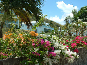 Timothy Beach Resort